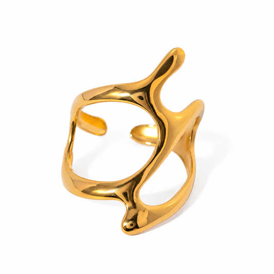 Infinite Ring